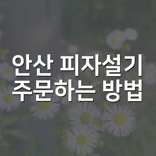 안산 피자설기 주문하는 방법, 처음 고를 때 보면 좋은 기준 - 요약
