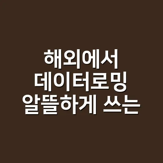해외에서 데이터로밍 알뜰하게 쓰는 방법 - 요약