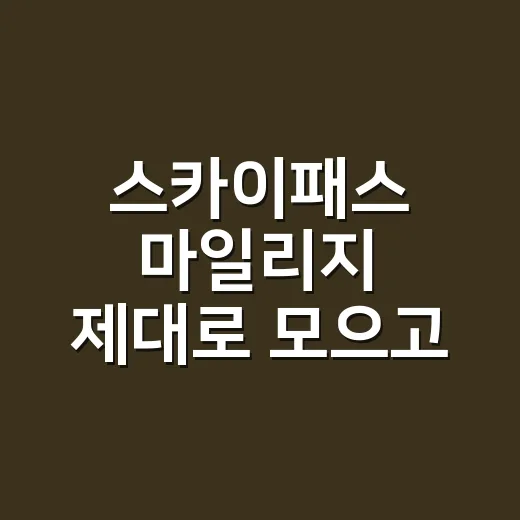 스카이패스 마일리지 제대로 모으고 쓰는 방법 - 요약