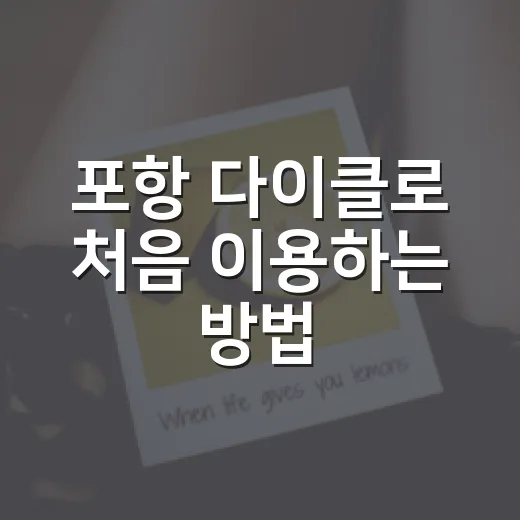 포항 다이클로 처음 이용하는 방법, 픽업 전에 확인할 것들 - 요약