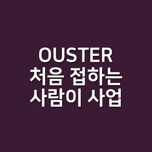 OUSTER 처음 접하는 사람이 사업을 이해하는 방법 - 요약