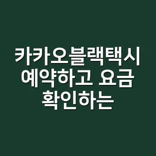 카카오블랙택시 예약하고 요금 확인하는 방법 - 요약