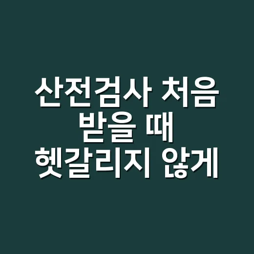 산전검사 처음 받을 때 헷갈리지 않게 준비하는 방법 - 요약