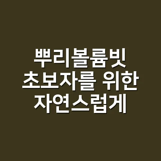 뿌리볼륨빗 초보자를 위한 자연스럽게 볼륨 살리는 방법 - 요약