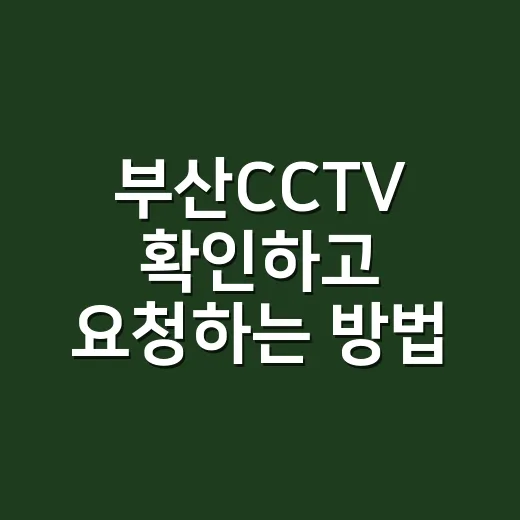 부산CCTV 확인하고 요청하는 방법, 처음이라면 이렇게 - 요약