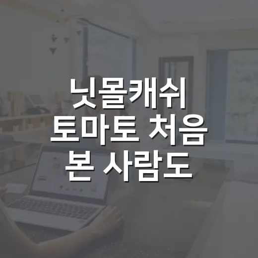 닛몰캐쉬 토마토 처음 본 사람도 분위기 파악하는 방법 - 요약