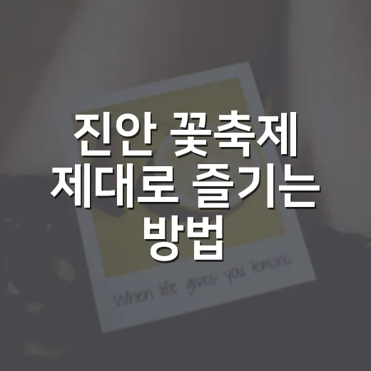 진안 꽃축제 제대로 즐기는 방법, 처음 가는 사람도 편하게 도는 코스 - 요약