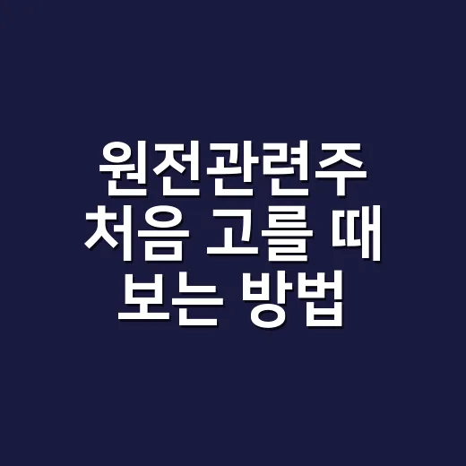 원전관련주 처음 고를 때 보는 방법, 사업 구조부터 리스크까지 - 요약