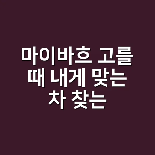 마이바흐 고를 때 내게 맞는 차 찾는 방법 - 요약