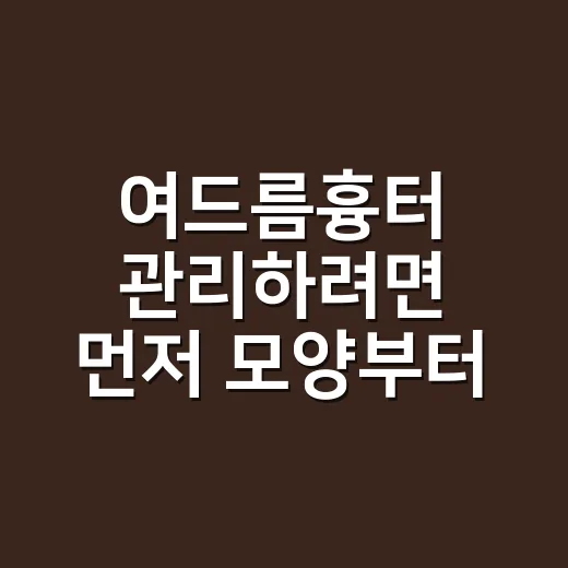 여드름흉터 관리하려면 먼저 모양부터 구분하는 방법 - 요약