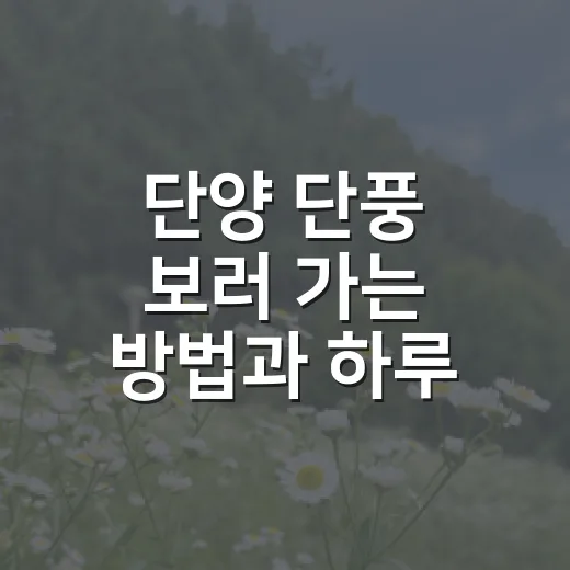 단양 단풍 보러 가는 방법과 하루 코스 - 요약