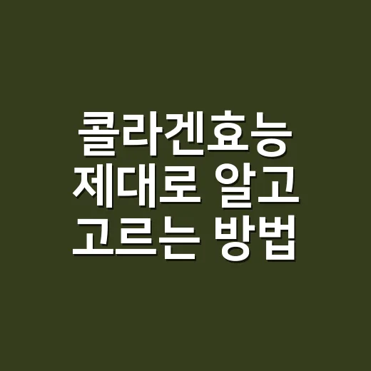 콜라겐효능 제대로 알고 고르는 방법 - 요약