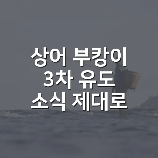 상어 부캉이 3차 유도 소식 제대로 확인하는 방법 - 요약