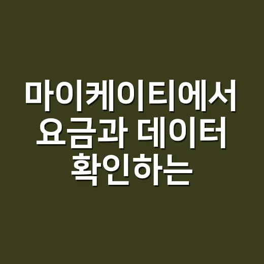 마이케이티에서 요금과 데이터 확인하는 방법 - 요약