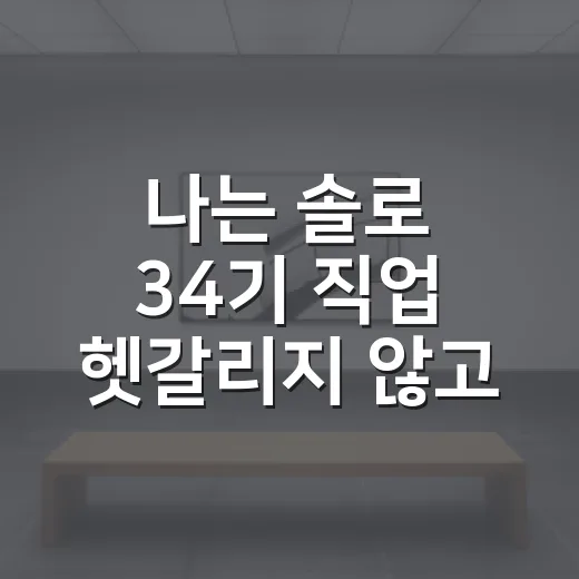 나는 솔로 34기 직업 헷갈리지 않고 보는 방법 - 요약