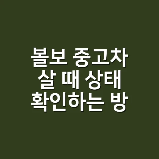 볼보 중고차 살 때 상태 확인하는 방법 - 요약