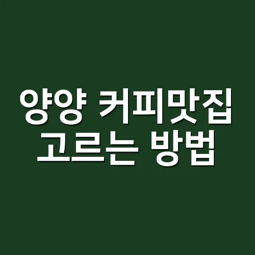 양양 커피맛집 고르는 방법, 바다뷰보다 먼저 봐야 할 것들