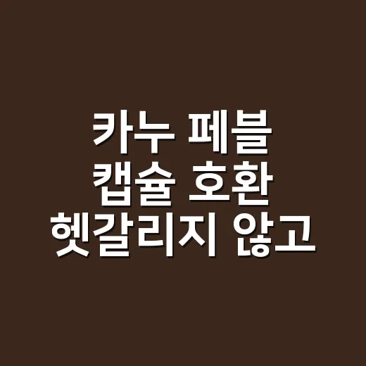 카누 페블 캡슐 호환 헷갈리지 않고 고르는 방법 - 요약
