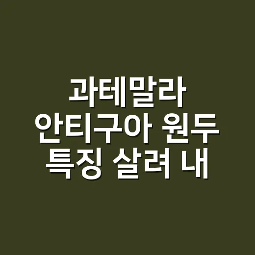 과테말라 안티구아 원두 특징 살려 내리는 방법 - 요약