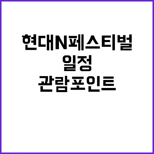 현대N페스티벌 처음 보러 가는 방법, 일정부터 관람 포인트까지 - 요약