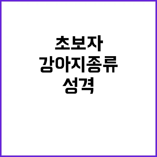 초보자를 위한 강아지종류 고르는 방법, 성격부터 생활환경까지 이렇게 보면 쉬워요 - 요약