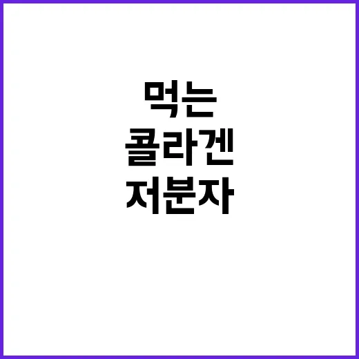 저분자콜라겐 고르는 방법, 처음 먹는 사람도 헷갈리지 않게 - 요약