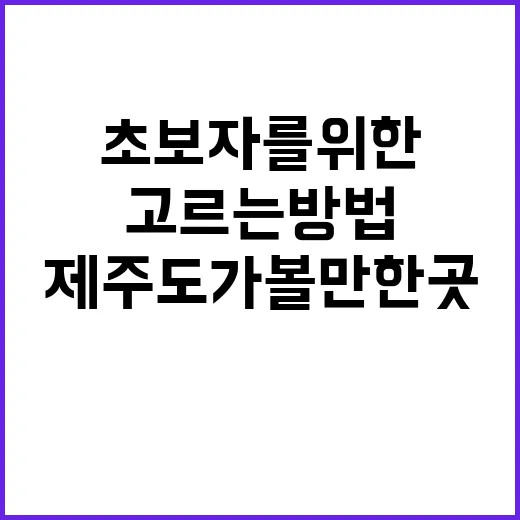 초보자를 위한 제주도가볼만한곳 고르는 방법 - 요약