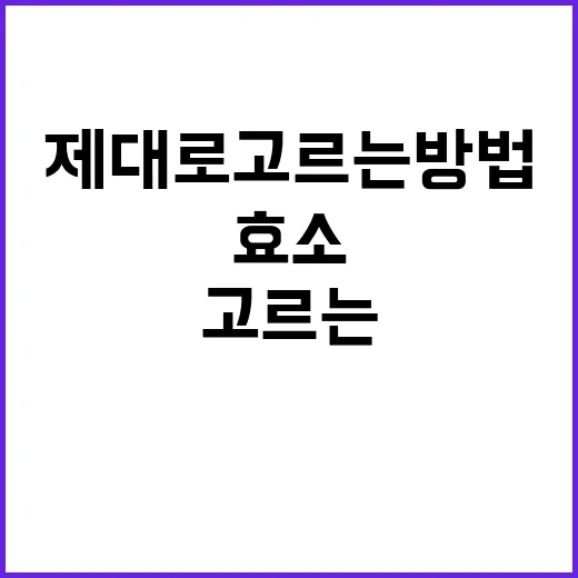 효소 제대로 고르는 방법, 초보자라면 성분표부터 이렇게 보세요 - 요약