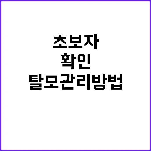 초보자를 위한 탈모 관리 방법, 집에서 먼저 확인할 것들 - 요약