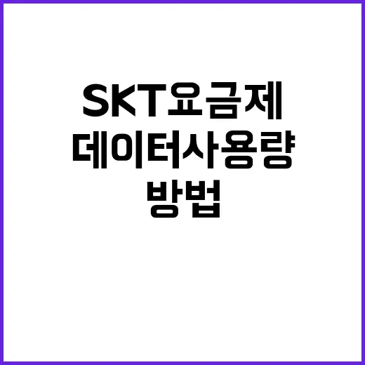 SKT요금제 고르는 방법, 데이터 사용량부터 보면 쉬워요 - 요약
