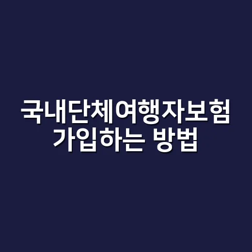 국내단체여행자보험 가입하는 방법, 인원 많은 여행 전에 챙길 것들 - 요약