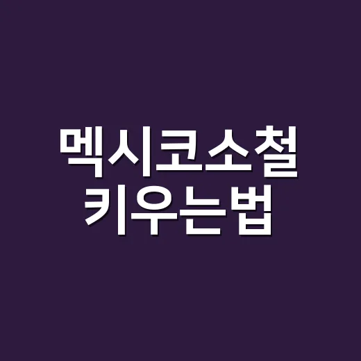 멕시코소철 키우는법, 초보자가 오래 건강하게 관리하려면 이렇게 - 요약