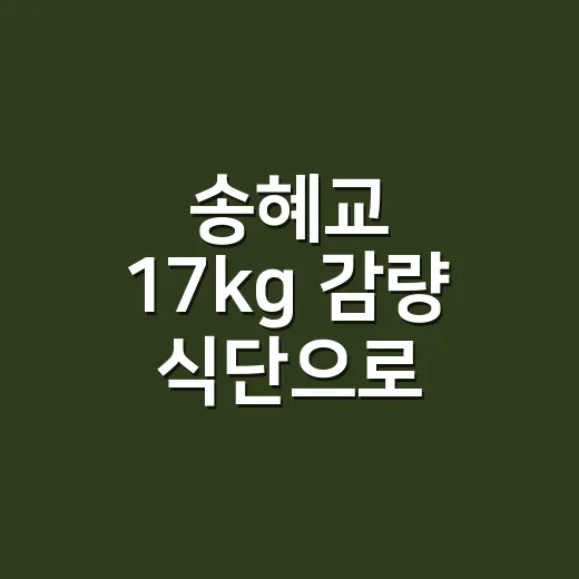 송혜교 17kg 감량 식단으로 알려진 두부 양배추 샐러드 만드는 방법 - 요약