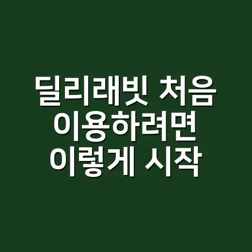 딜리래빗 처음 이용하려면 이렇게 시작하세요 - 요약