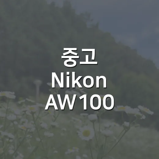 중고 Nikon AW100 제대로 고르는 방법, 여행용 방수카메라로 아직 괜찮을까 - 요약