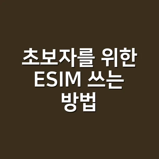 초보자를 위한 ESIM 쓰는 방법, 해외여행 전에 이렇게 준비하세요 - 요약
