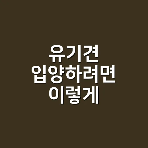 유기견 입양하려면 이렇게 준비하면 좋아요