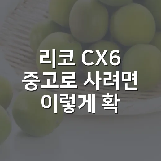 리코 CX6 중고로 사려면 이렇게 확인하는 방법 - 요약