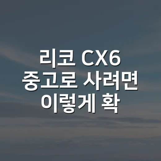 리코 CX6 중고로 사려면 이렇게 확인하는 방법 - 요약