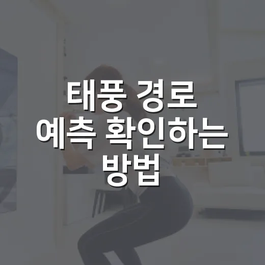 태풍 경로 예측 확인하는 방법, 초보자도 헷갈리지 않게 보는 법 - 요약