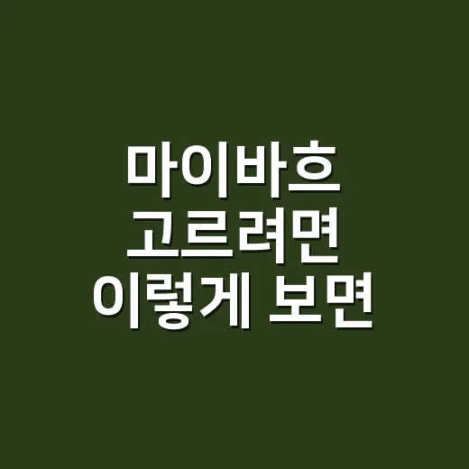 마이바흐 고르려면 이렇게 보면 됩니다: 가격보다 먼저 확인할 것들 - 요약