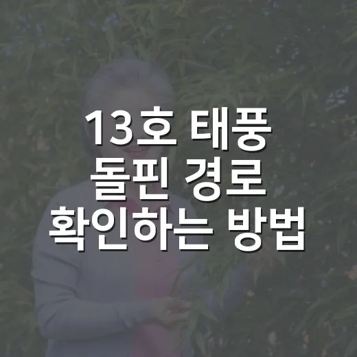 13호 태풍 돌핀 경로 확인하는 방법, 여행 전 이렇게 보면 편합니다 - 요약
