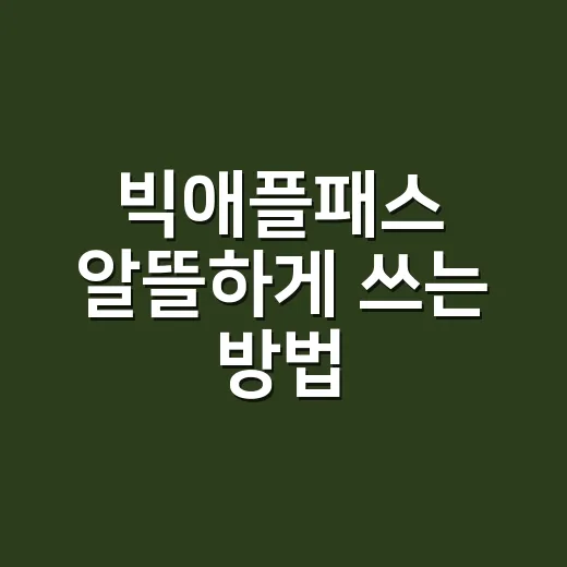 빅애플패스 알뜰하게 쓰는 방법, 뉴욕 여행 일정에 맞춰 고르는 법 - 요약