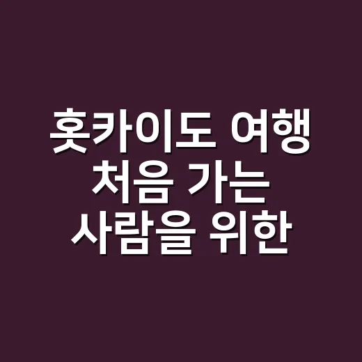 홋카이도 여행 처음 가는 사람을 위한 동선 짜는 방법 - 요약