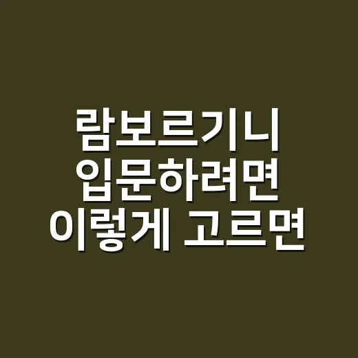 람보르기니 입문하려면 이렇게 고르면 덜 헤맵니다 - 요약