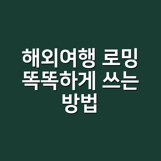 해외여행 로밍 똑똑하게 쓰는 방법: 요금 폭탄 피하려면 이렇게 - 요약