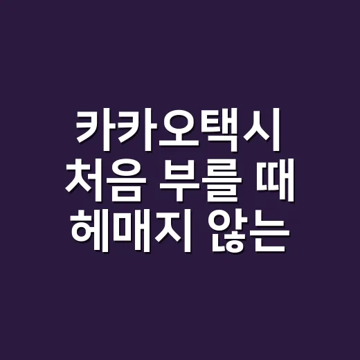 카카오택시 처음 부를 때 헤매지 않는 방법 - 요약