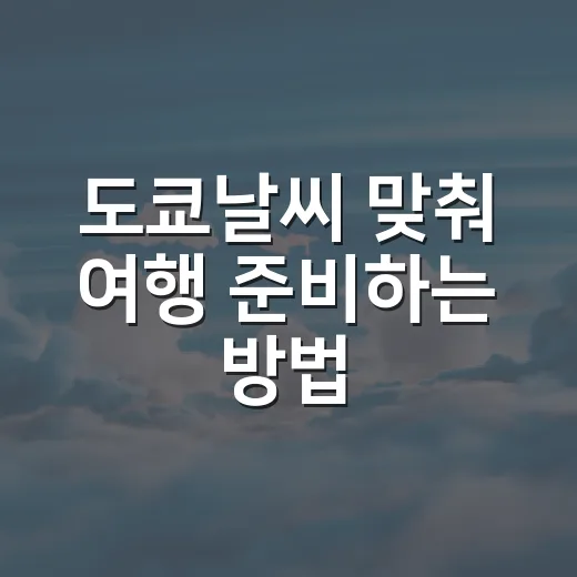 도쿄날씨 맞춰 여행 준비하는 방법, 계절별 옷차림부터 비 오는 날 팁까지 - 요약