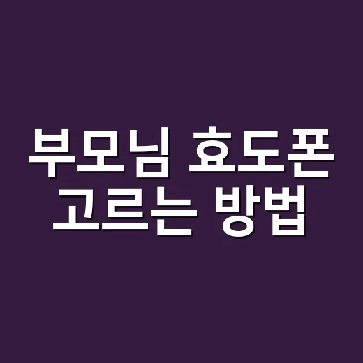부모님 효도폰 고르는 방법, 요금제부터 화면 크기까지 이렇게 보면 편해요 - 요약