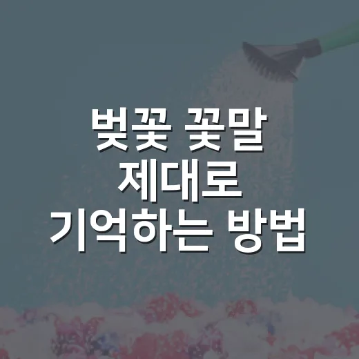 벚꽃 꽃말 제대로 기억하는 방법, 색과 상황별로 이렇게 보면 쉬워요 - 요약